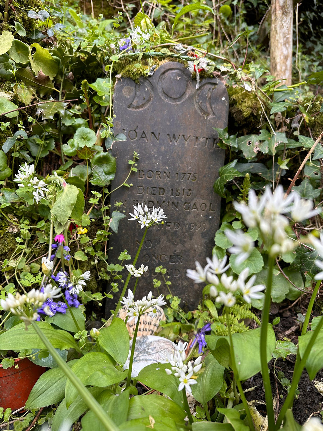 The Witch of Bodmin Moor - Joan Wytte.